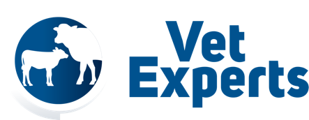 Vet Experts